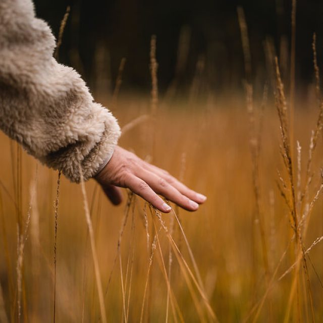 aja_RUH_egr_sho_Herbst22_Desti_1393